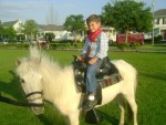 Pony Ride Pony Ride