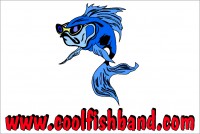 Coolfish - Wedding Band in Long Island, New York