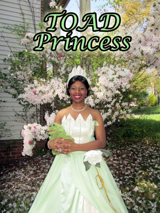 Princess Party Entertainment