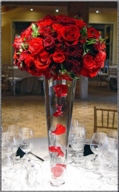 Coral Springs Flowers and Events