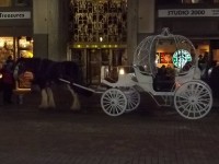Country Carriage Company