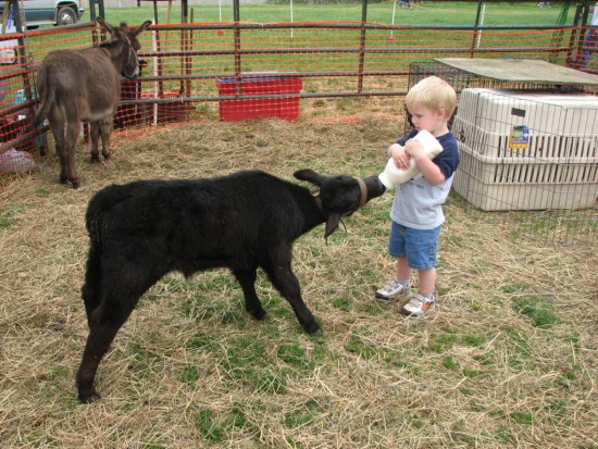 Petting Farm