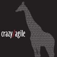 Crazy/Agile - Wedding Band in Decatur, Illinois