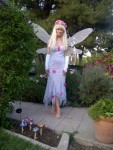 so many garden fairies