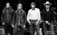Creedence Again