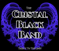 Cristal Black Band - Wedding Band in Sacramento, California