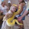 Critterman's Animal Shows & Event Planning