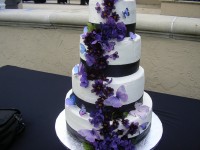 Custom Cake Studio