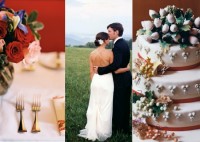 Cyndi Freeman Photography