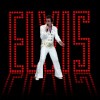 Dallas area Elvis Tribute Artist Donnie Pyle