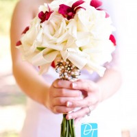David Thao Photography - Event Services in Stevens Point, Wisconsin