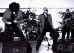 Dear Jon Classic Rock Cover Band