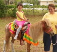 Deb's Party Ponies