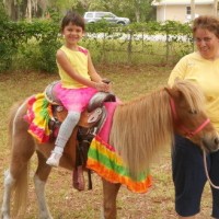 Deb's Party Ponies - Unique & Specialty in Gainesville, Florida
