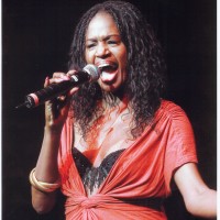 Dee Dee Wilde Band - Dance Band in Miami, Florida