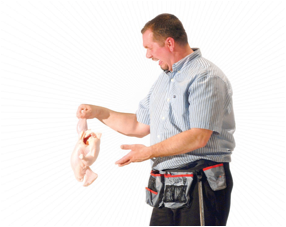 Chicken handler
