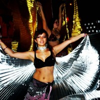 Desert Blossoms - Belly Dancer in Irvine, California