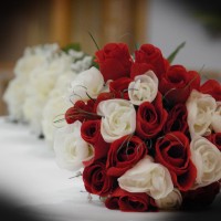 Designer Events & Weddings LLC - Event Services in Stevens Point, Wisconsin