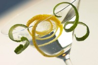 Detroit Bartender - Mobile Mixologist