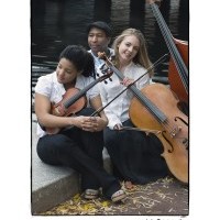 Di eVano String Quartet - String Quartet in Wakefield, Massachusetts
