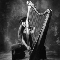 Diana Stork - Harpist in Davis, California