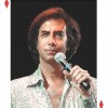 Neil Diamond  - The Tribute - Pop Music Group in Chandler, AZ