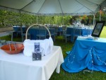 Elegant Backyard June Wedding