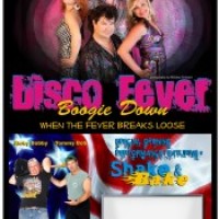 Disco Fever - 1970s Era Entertainment in Hinesville, Georgia