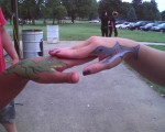 fun art