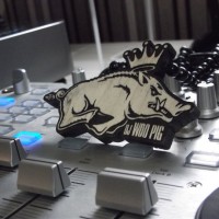 DJ Woo Pig - DJs in Benton, Arkansas