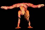 contortion