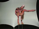 contortion on table
