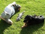 Three sleepy heads... Ed, "Snoozer" the Tegu and the guard dog wearing sunglasses. Three sleepy heads... Ed, "Snoozer" the Tegu and the guard dog wearing sunglasses.