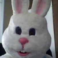 Easter Bunny for Hire - Limo Services Company in Brigham City, Utah