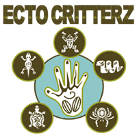 Ecto Critterz - Reptile Show in Peoria, Arizona