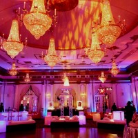 Eggsotic Events - Lighting Company in , 