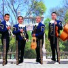 El Mariachi Loco de Houston