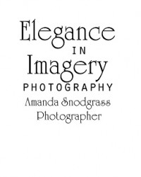 Elegance in Imagery