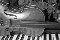 Elegant Music - Chamber Orchestra in Chesapeake, Virginia