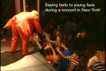 Fans in New York