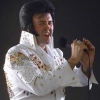 Elvis 2 - Tribute Artist in Orlando, Florida