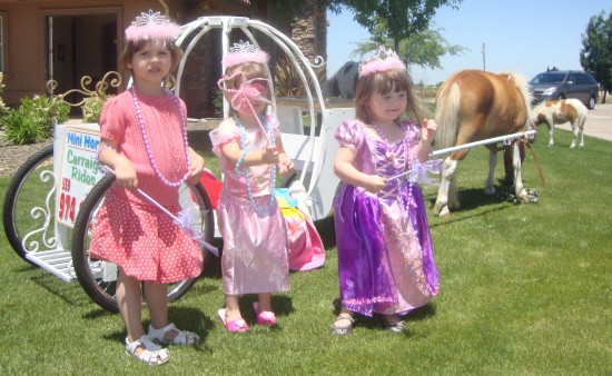 Cinderella Carriage Rides