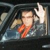 Elvis by Tim Hilliard