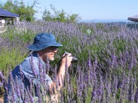 Emerald Studios Photography - Fine Artist in , 