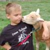 Enchanted Animal Parties