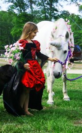 Enchanted Pony Parties