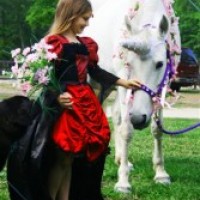 Enchanted Pony Parties - Animal Entertainment in Statesboro, Georgia