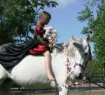 unicorn