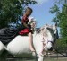 unicorn