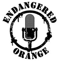 Endangered Orange - Cover Band in Brookings, South Dakota